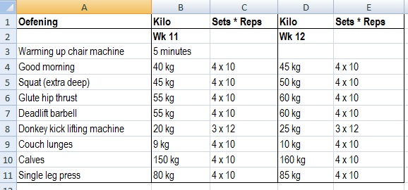 Voorbeeld van een trainingsschema